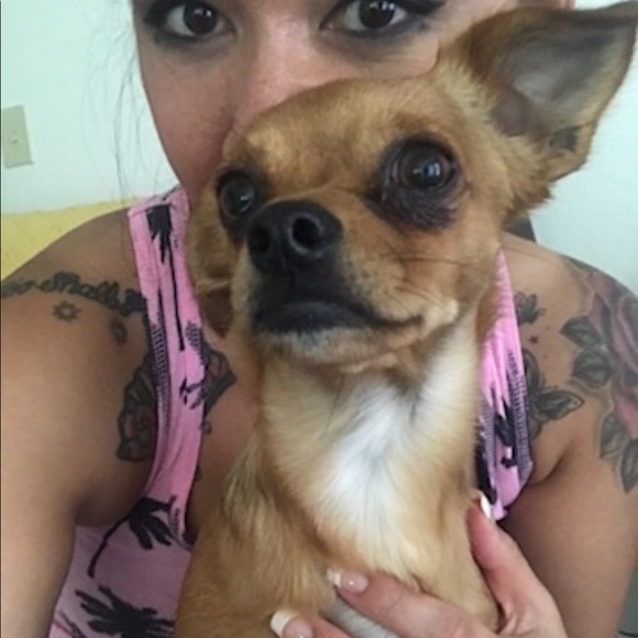 💖🎾🐶BELLA⭐️☀️🦋 - Picture 4 of 14